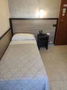 Single Room with Private Bathroom room in Hotel Salus