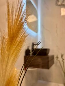 Bodega Apartments II