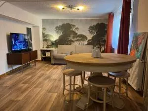 Appartement F2 40m2 - 斯坦