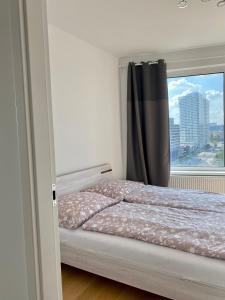 Luxury apartment in skyscraper with parking