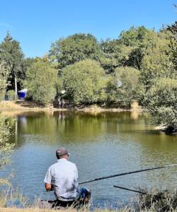 Campings L-oree du bois : photos des chambres