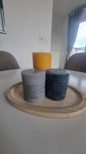 Appartements Bordeaux Merignac appartement 2 Pieces - 2 Terrasses : photos des chambres