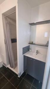 Appartements Bordeaux Merignac appartement 2 Pieces - 2 Terrasses : photos des chambres