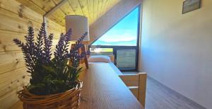 Green Fields Apartments - Apartamenty na Dzikiej Łące 2