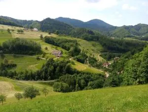 Moosblick - 奥佩瑙