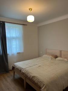 Melluzi PARK apartment