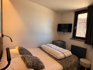 Magnifique appartement 8 pers, centre station, animaux admis - FR-1-634-3