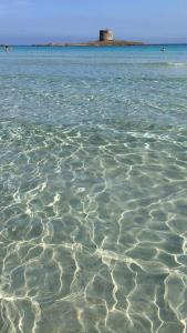 Casa Logos Stintino - Private pool img20