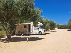 Relax camp 