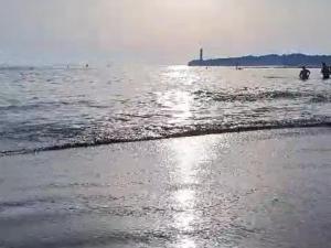 Appartements A deux pas de la plage - Les lauriers roses : Appartement 1 Chambre