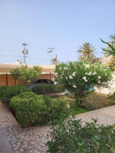 Villa avec piscine Djerba