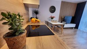 Trzypokojowy apartament z parkingiem