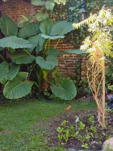 Casa San Isidro pileta jardín parrilla a metros del río