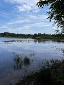 Ferienhaus in Kollm mitten in der Oberlausitz