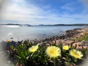 Loft Arcipelago img41