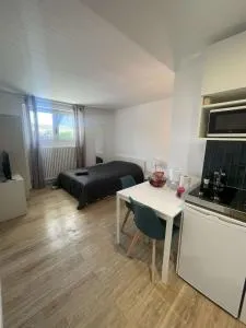 Studio près de Genève au calme - 伯尼索米诺格