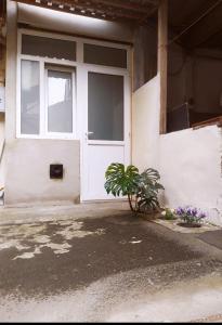 Sweet home in old Tbilisi