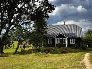 Drusti meadow - Abrupe