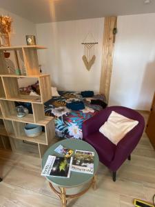 Appartements Chalet bain nordique - Casa belisama : photos des chambres