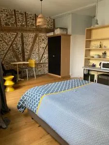 Ariejoie - Chambre privée dans maison en centre historique - Foix
