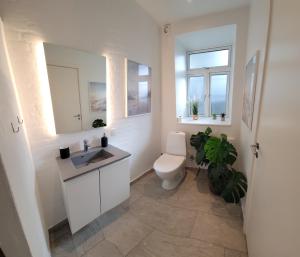 Central 1 room apartment 60m from the harbor