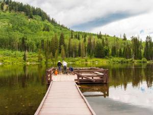 Limber Pine Lodge