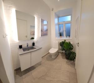 Central 1 room apartment 60m from the harbor