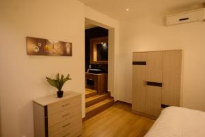 Tana Palm Madagascar