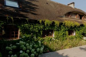 B&B / Chambres d'hotes Domaine Foray : photos des chambres