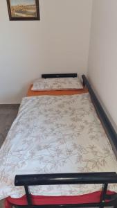 Hiša nad vinogradom