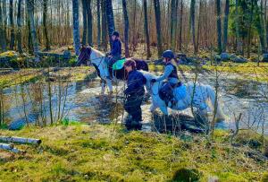 STUGA COTTAGE ÄNGELHOLM lantlig, on horsefarm