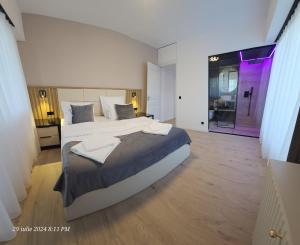 Penthouse Centru City View Baia Mare