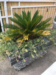 Apartman Žanić Crikvenica with hot tub, jacuzzi