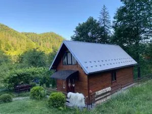 Lisowa Hatka Yavoriv - 舍绍里