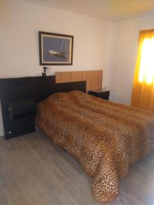 Departamento Las Rocas