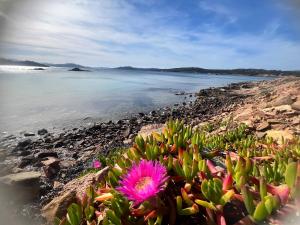 Loft La conchiglia img26