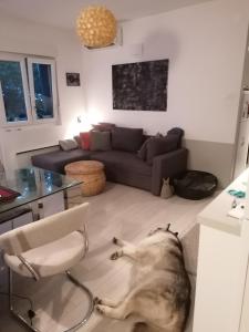 Apartman Zamet