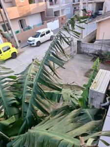 Apto Floripa