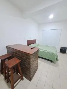 José Ingenieros 1175 - Monoambiente - Toay