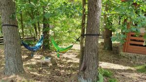 Mazurzanka - Leśny Domek w Bajkowym Zakątku