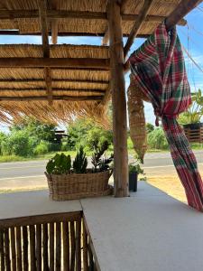 ทุ่งนาแคมป์ปิ้ง Countryside