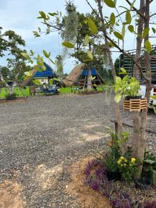 ทุ่งนาแคมป์ปิ้ง Countryside