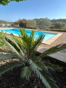 Villas Chateau du Grand Jas : photos des chambres