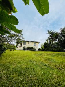 Your Urban Cottage - Prázdninové domy, Suva