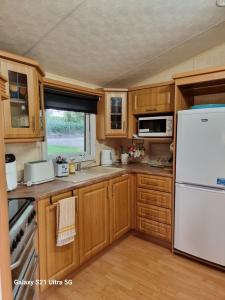 The Duck - Free Fishing, pets welcome - static caravan in Clare, Suffolk