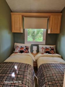 The Duck - Free Fishing, pets welcome - static caravan in Clare, Suffolk