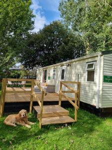 The Duck - Free Fishing, pets welcome - static caravan in Clare, Suffolk