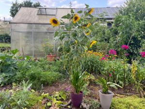 Ferienwohnung Dörfler
