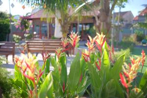 Vườn Gióng Homestay