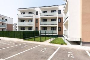 Dahlia Blooming Studio